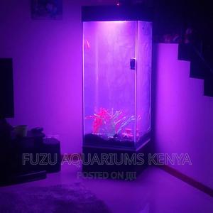 5ft Huge Tower Aquarium - thumbnail 2
