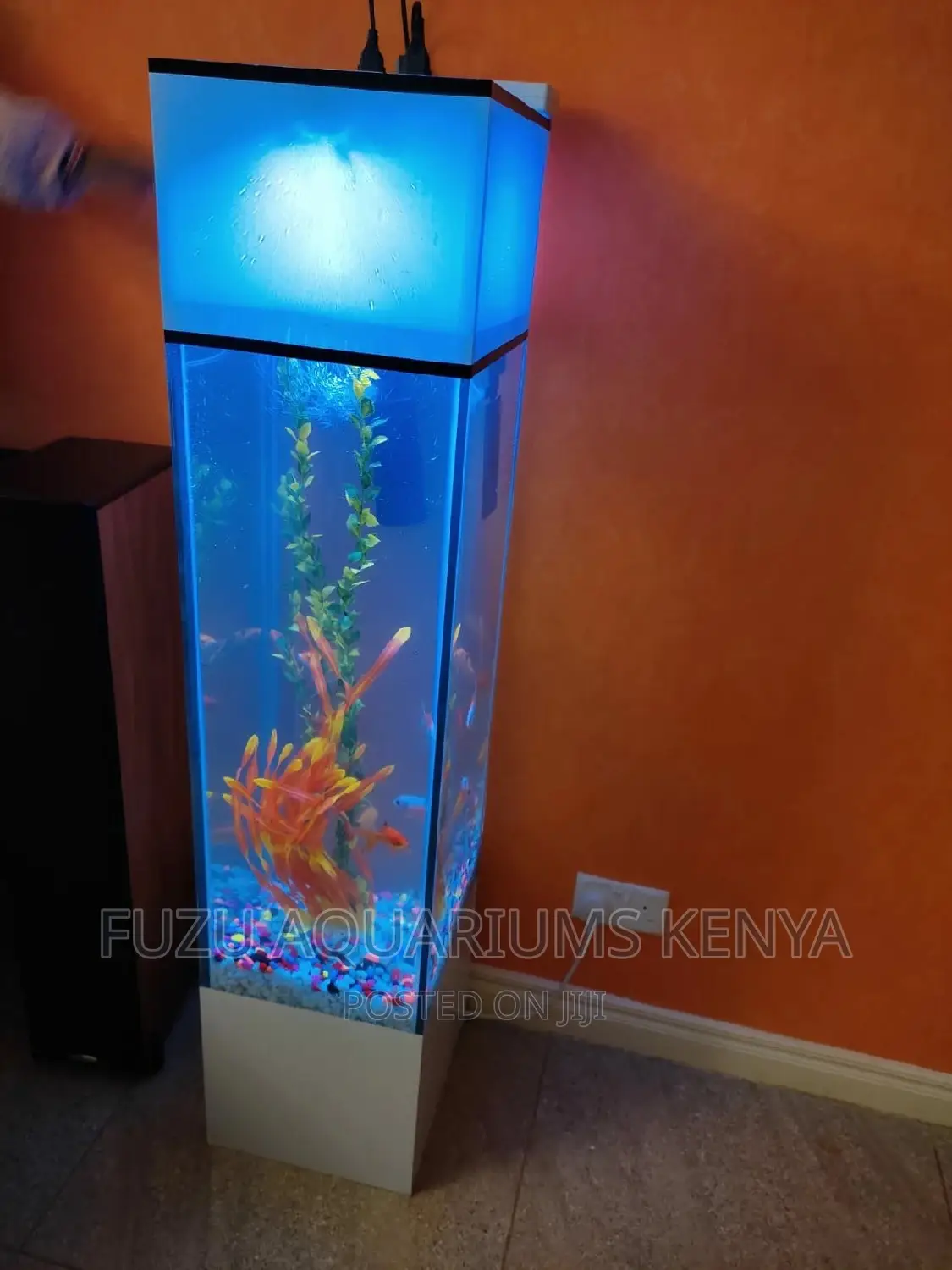 Beautiful Tower Aquarium Fish