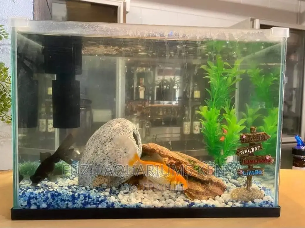 Small Aquarium With Fish