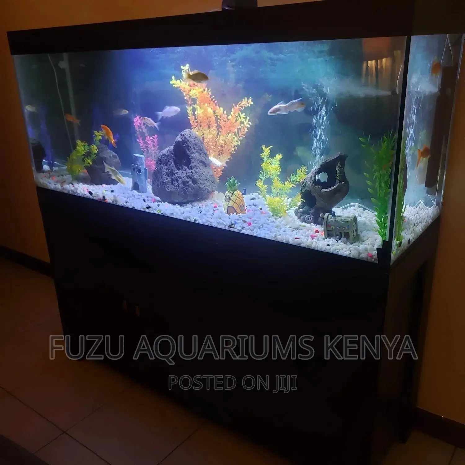 300L Aquarium With Stand