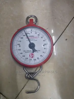 Hannson 200kg Scale