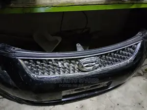 Fielder/Axio 2010 Grille