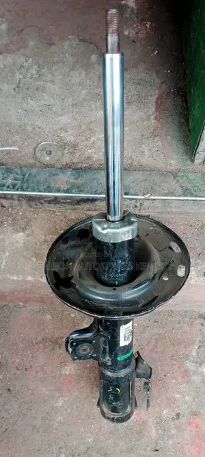 Toyota Vanguard,Rav4 Shocks