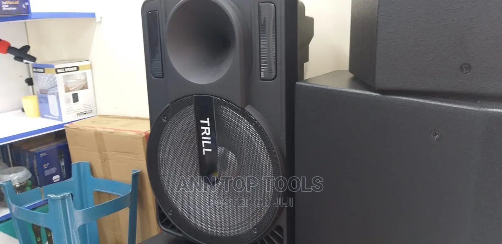 Trill 15" Portable Bluetooth Speaker With 2mics
