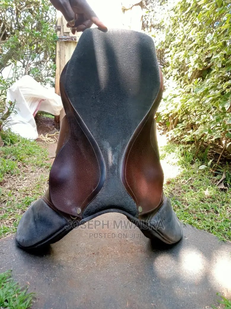 Horses Riding Equipment