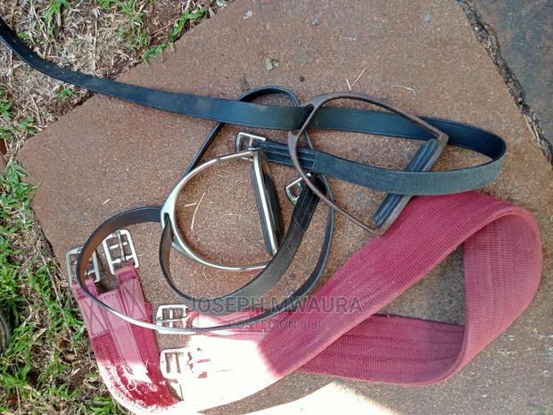 Horses Riding Equipment - thumbnail 6