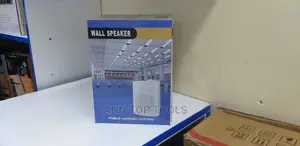 Single Wall Speaker