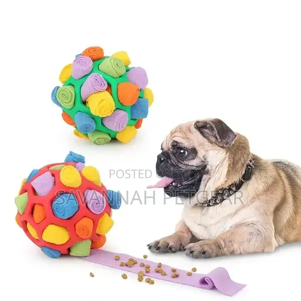 Dog Enrichment Snuffle Ball Toy to Train Natural Foraging