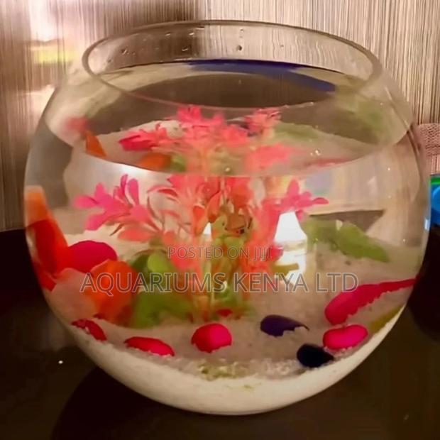 Premium ~10litres Fish Bowl - main view