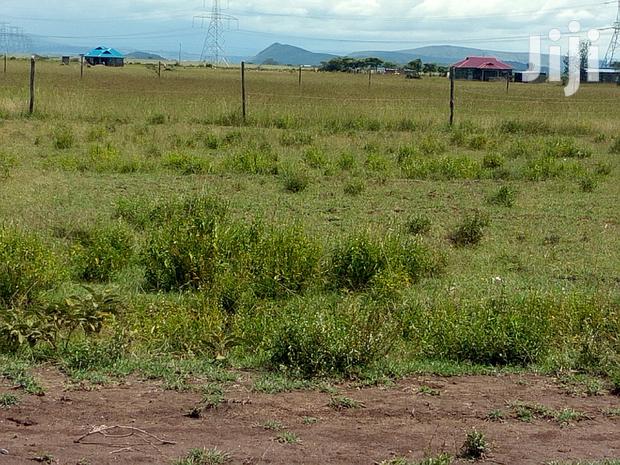 Plots for Sale in Elementaita Oljolai Phase 2 - thumbnail 2