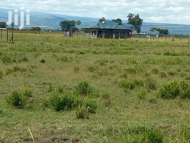 Plots for Sale in Elementaita Oljolai Phase 2 - thumbnail 3