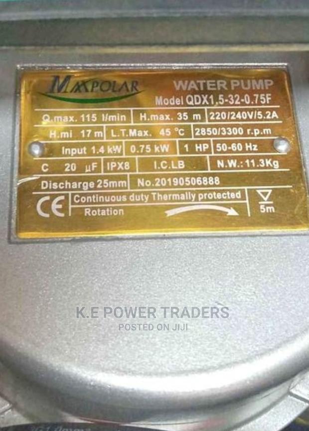 Top 1 Hp Maxpolar Submersible Pump - thumbnail 2