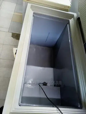 Deep Freezer 300l