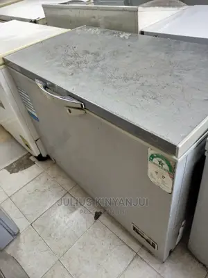 Deep Freezer 300l