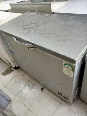 Deep Freezer 300l