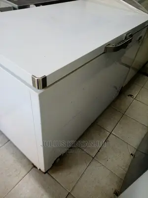 Deep Freezer 320l