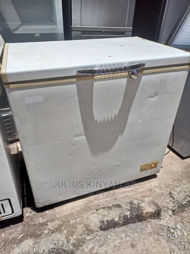 Deep Freezer 300L