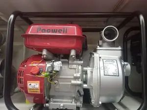 Pacwell 2 Inch Water Pump