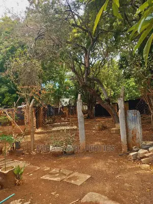 Two-Acre Land for Sale in Old Nyali - Dream Investment Awaits