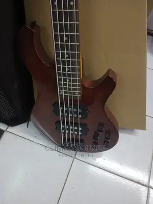 Active Bass Guitar