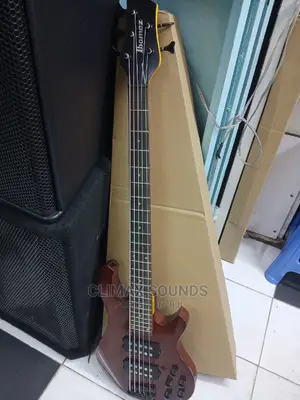 Active Bass Guitar