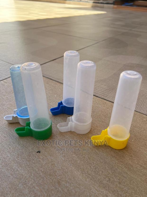 Pigeon/Budgies Drinkers - main view