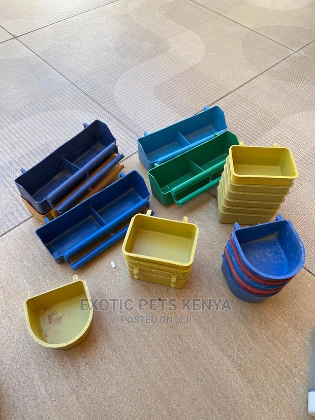 Pigeon/Bird Feeders - main view