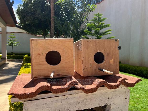 Bird Nest Boxes - main view