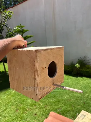 Bird Nest Boxes