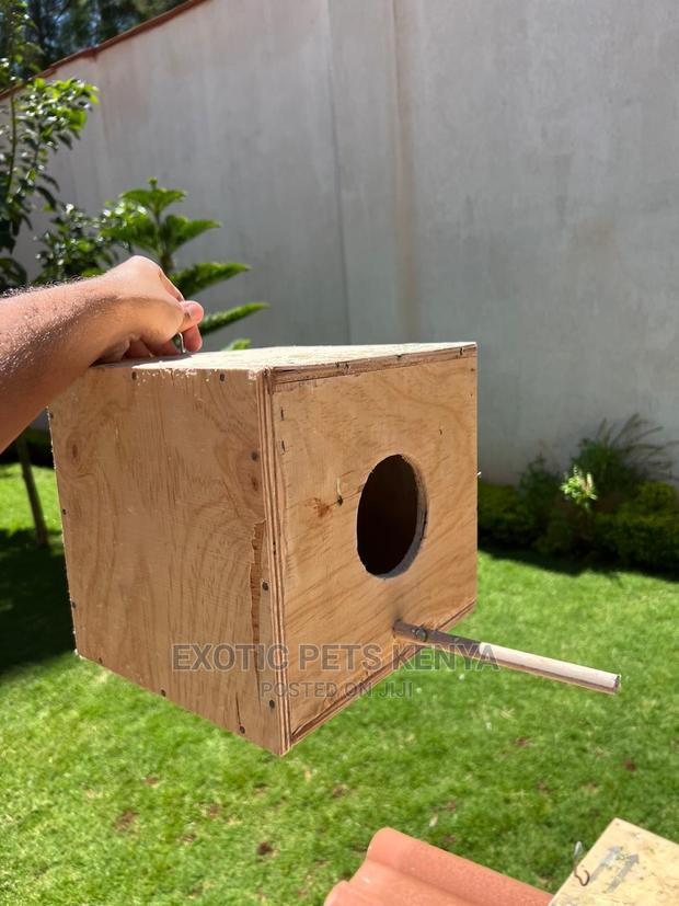Bird Nest Boxes - thumbnail 4