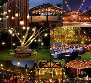 Garden String Lights