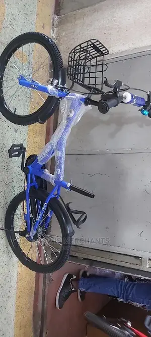 Bicycle Size 20