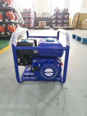 Concrete Vibrator With Poker