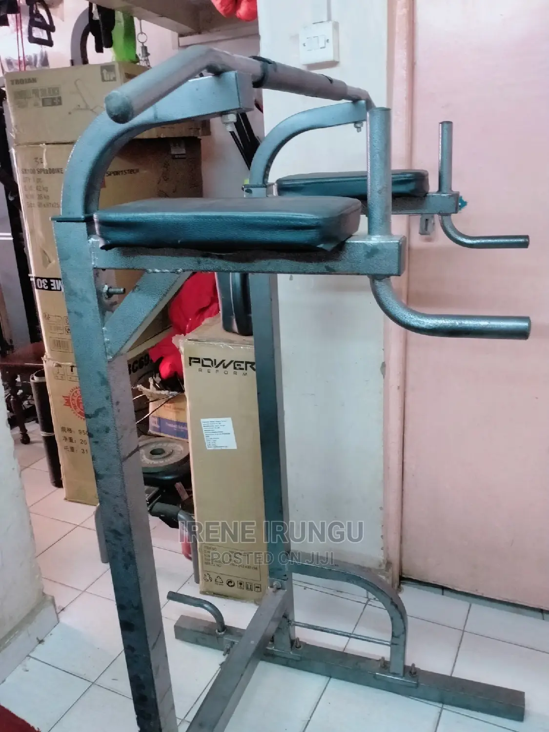 Pull Up/Chin Dip Station