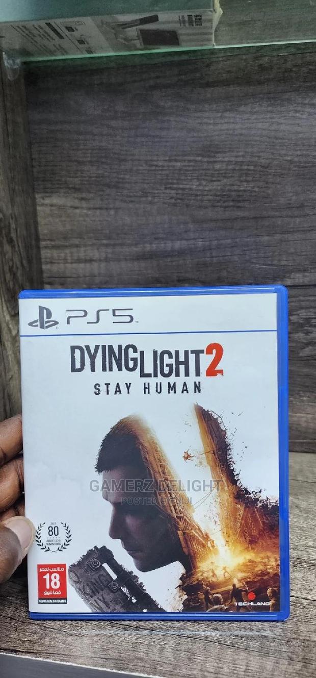 Dying Light 2 - main view