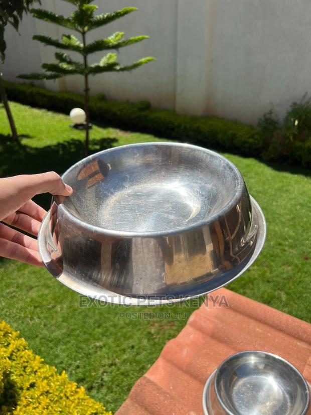 Dog Bowls Stainless Steel - main view