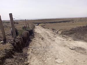 1/8th Plots for Sale - thumbnail 2