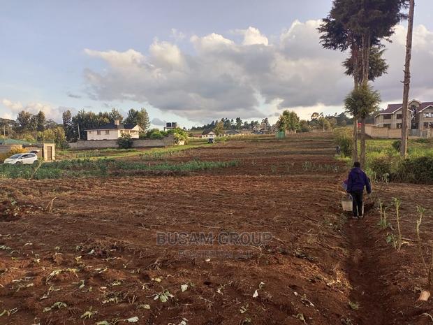 Limuru Kabuku 50 by 100 Plots for Sale With Ready Title - main view