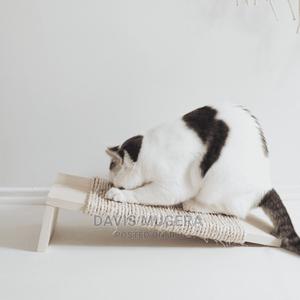 Purrfect Cat Scratching Plank Board - thumbnail 2