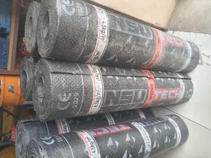 Flat Roof Add Gutters Butimous Membrane/App Membrane