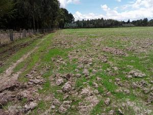 5 Acre on Sale at Kinangop Eginear - thumbnail 2