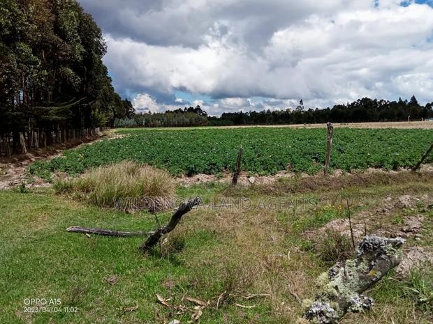 5 Acre on Sale at Kinangop Eginear - thumbnail 3