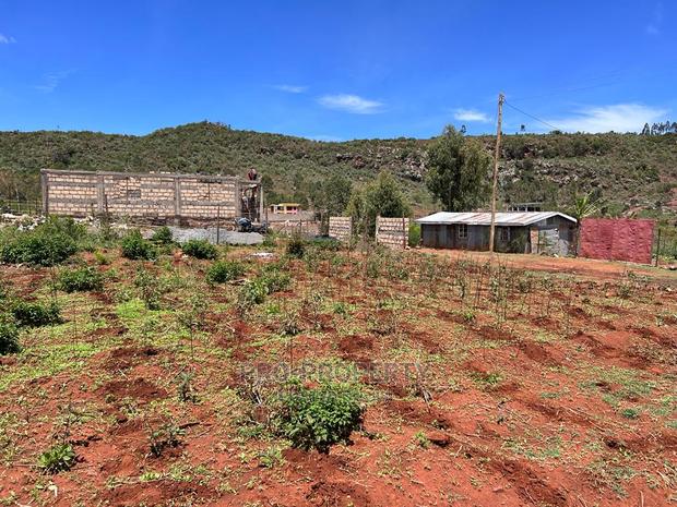 50 X 100ft Plot for Sale in Kikuyu, Nachu. - thumbnail 14