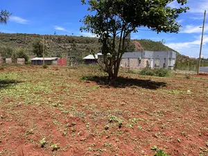 50 X 100ft Plot for Sale in Kikuyu, Nachu.