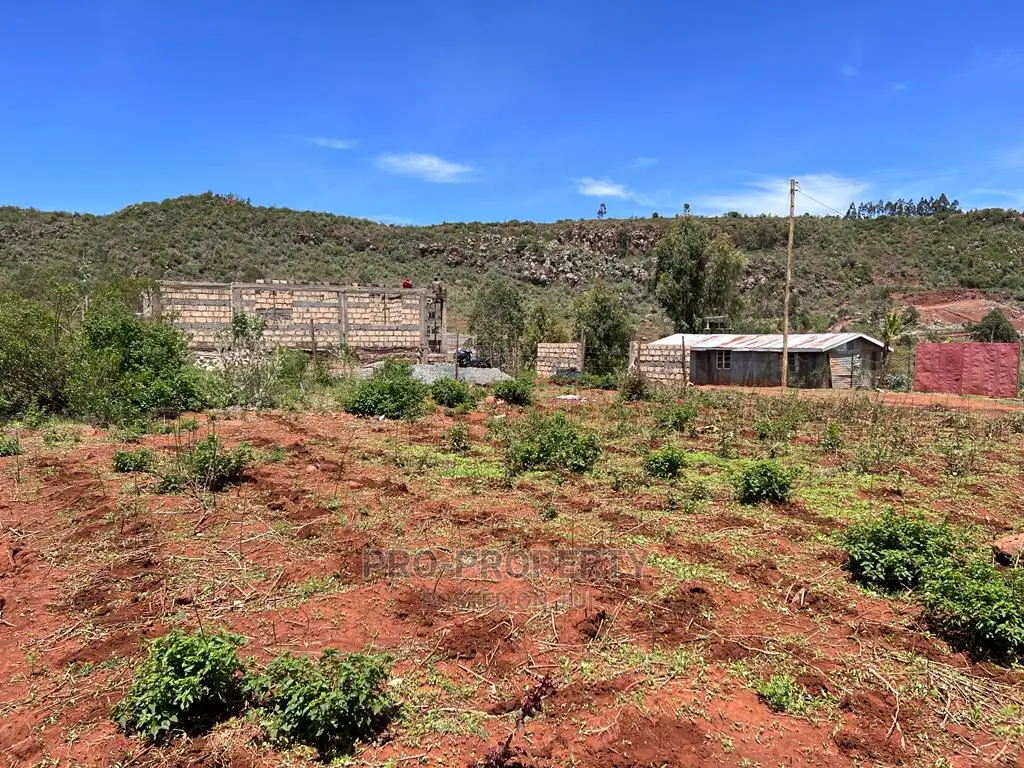 50 X 100ft Plot for Sale in Kikuyu, Nachu.
