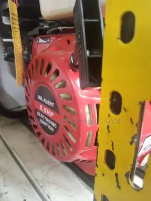 Tiger 2 Inch Water Pump.