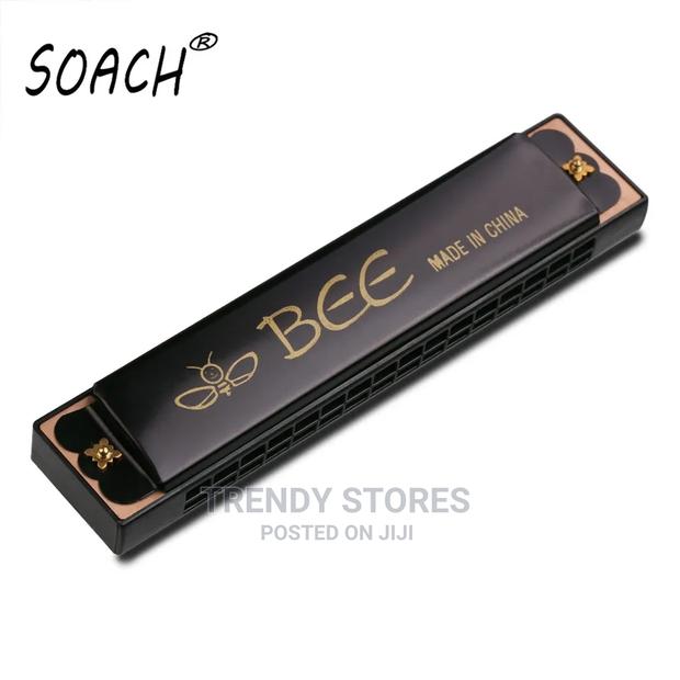 16 Holes Of Key C Harmonica