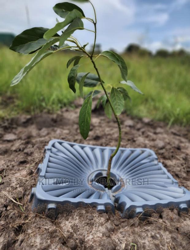 Tree Plastic Mulch