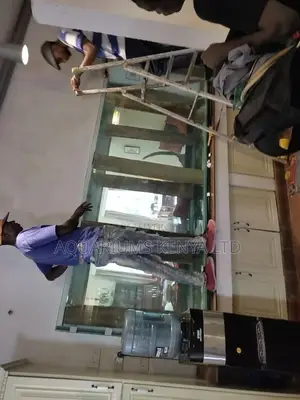 Custom Made Aquarium Professional in Kenya