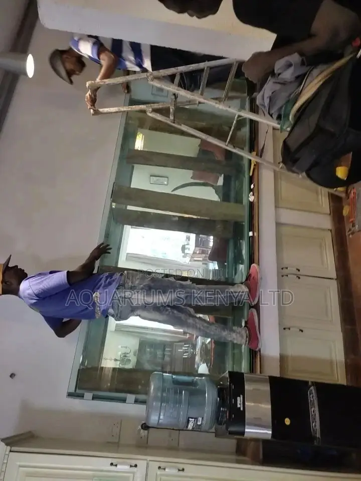 Custom Made Aquarium Professional in Kenya